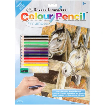 Royal & Langnickel® Buck's Pal Colour Pencil™ by Number Kit