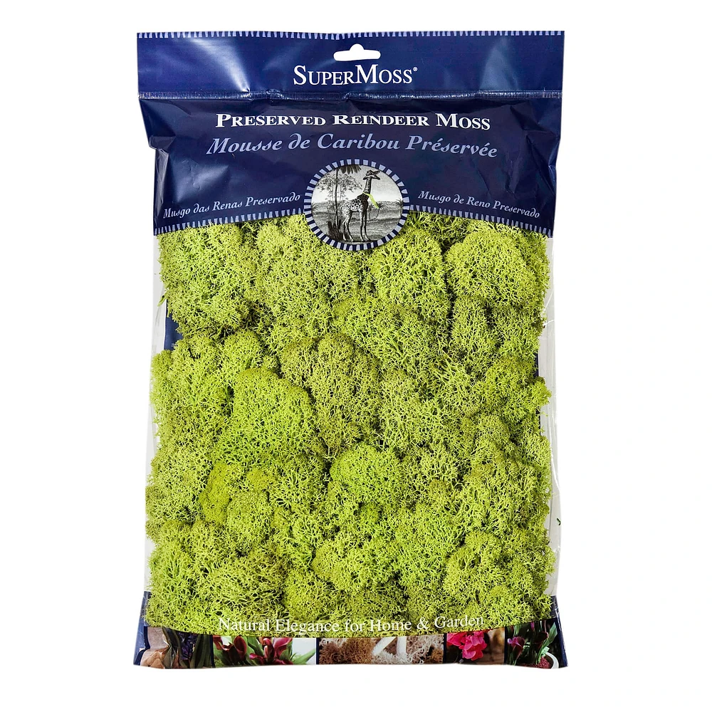 SuperMoss® Preserved Reindeer Moss, 8oz.