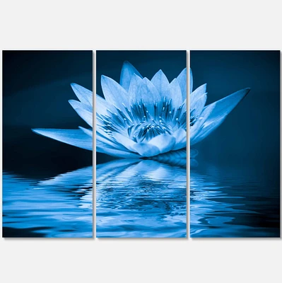 Designart - Blue Water Lily