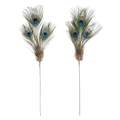 12 Pack: Peacock Feather Picks by Ashland®