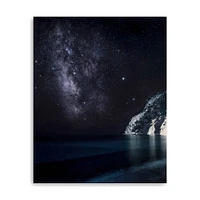 Lumaprints Stars in the South Canvas Giclée Wall Art