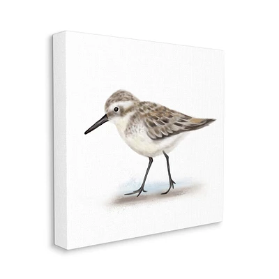 Stupell Industries Nautical Sandpiper Bird on Sand Speckled Feathers Canvas Wall Art
