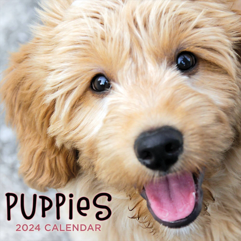 TF Publishing 2024 Puppies Wall Calendar