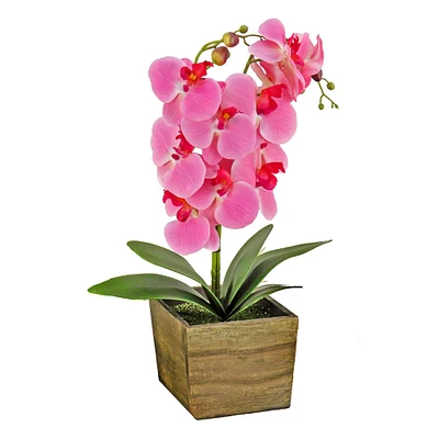 21" Orchid Flower In Wood Box