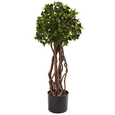 2.5ft. Potted English Ivy Topiary