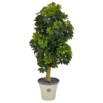 5ft. Umbrella Tree in Decorative Planter