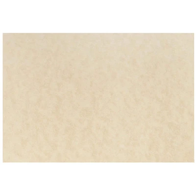 JAM Paper Natural Parchment Blank Note Cards