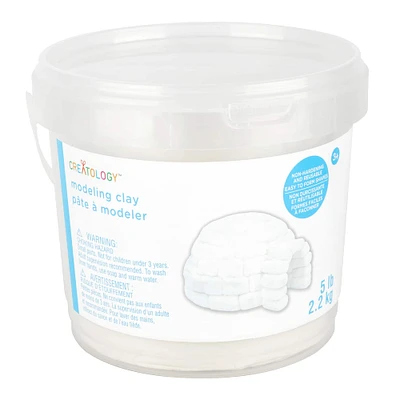 12 Pack: 5lb. White Modeling Clay by Creatology™