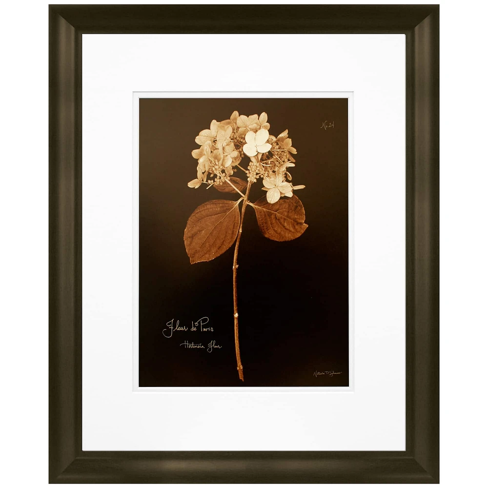 Timeless Frames® Hydrangea Framed Wall Décor