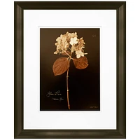 Timeless Frames® Hydrangea Framed Wall Décor