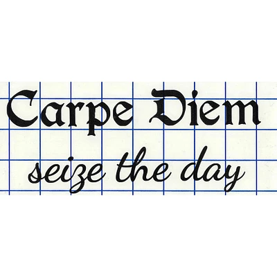 Leisure Arts® Vinyl Carpe Diem Seize The Day Black Wall Decal