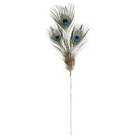 Peacock Feather Picks by Ashland®