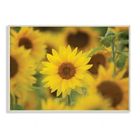 Stupell Industries Yellow Sunflower Nursery Field Wall Art