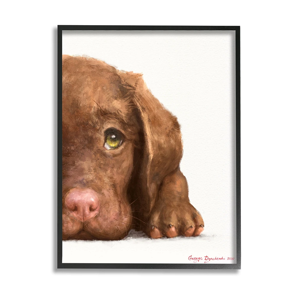 Stupell Industries Chocolate Labrador Puppy Resting Adorable Dog Portrait in Frame Wall Art