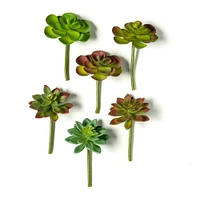 12 Pack: Assorted Snap-On Succulent Pick by Ashland®