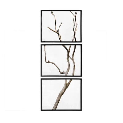 Black Wood Framed Branch Artwork Set