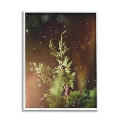 Stupell Industries Winter Snowfall Night Pine Tree Framed Giclee Art