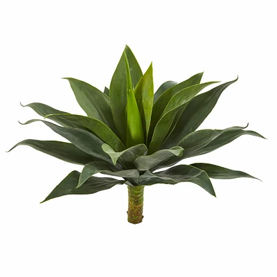 19" Agave Plant Set