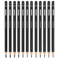 Arteza® Professional Graphite Drawing 12 Pencil Set