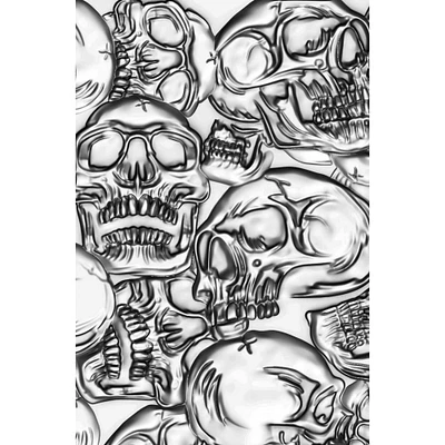 Sizzix® 3D Texture Fades Skulls Embossing Folder by Tim Holtz