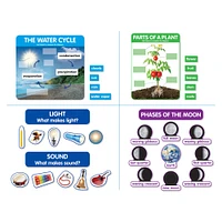 Scholastic® Early Science Concepts Bulletin Board Set