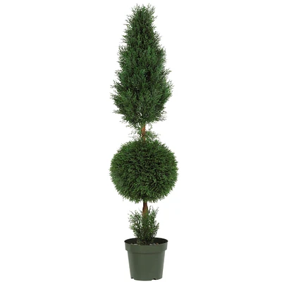 5ft. Potted Cypress Ball & Cone Tree