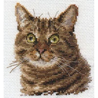 Alisa Cat's Eyes Cross Stitch Kit