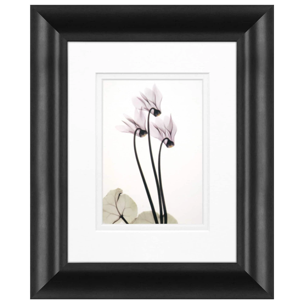 Timeless Frames® Cyclamen Trio Framed Wall Décor