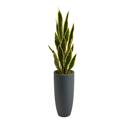 3.5ft. Snake Plant in Decorative Gray Planter