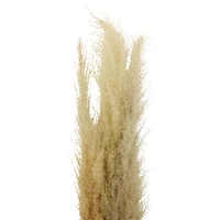 Natural Brown Pampas Bunch by Ashland®