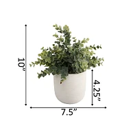 Flora Bunda® 6" Eucalyptus Plant in Ceramic Texture Planter