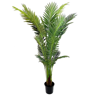 6ft. Potted Green Areca Palm Tree by Ashland®