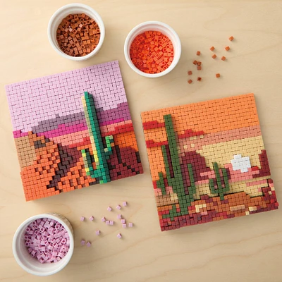 Desert Plants Pixelated Brick Art Kit by Make Market®