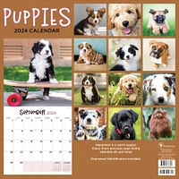 TF Publishing 2024 Puppies Wall Calendar
