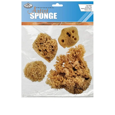 Royal & Langnickel® Combination Sponge Set