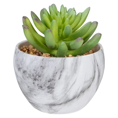 4.25" Green Succulent in Faux Marble Pot