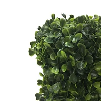 2ft. Boxwood Hedge