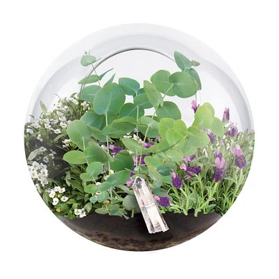 Glass Terrarium - Crystal Glass Garden