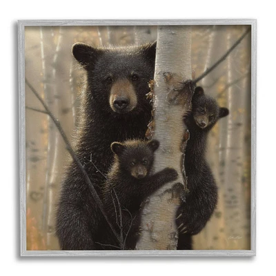 Stupell Industries Black Bear and Cubs Soft Birch Tree Forest Framed Wall Art