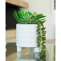 Flora Bunda® 10.5" Mixed Succulent Arrangement in Footed Ivory Cathedral Container