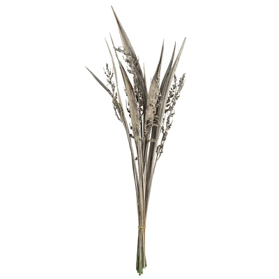 Dried White Wash Bahia Spears Bunch with Seeds, 2ct.