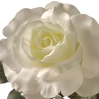 12.5" White Rose Flowers