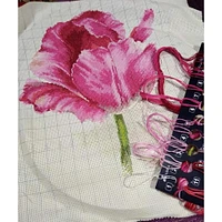 Alisa Tulips. Crimson Glow Cross Stitch Kit