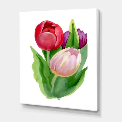 Designart - Beautiful Tulip Flowers