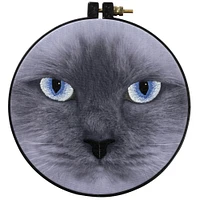 Bucilla® 6" Round Cat Eyes Stamped Embroidery Kit