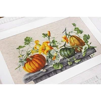 Luca-s Pumpkin Counted Cross Stitch Kit