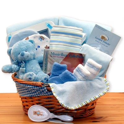 Simply The Baby Basics New Baby Boy Gift Basket