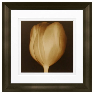 Timeless Frames® Tulip Framed Print Wall Art