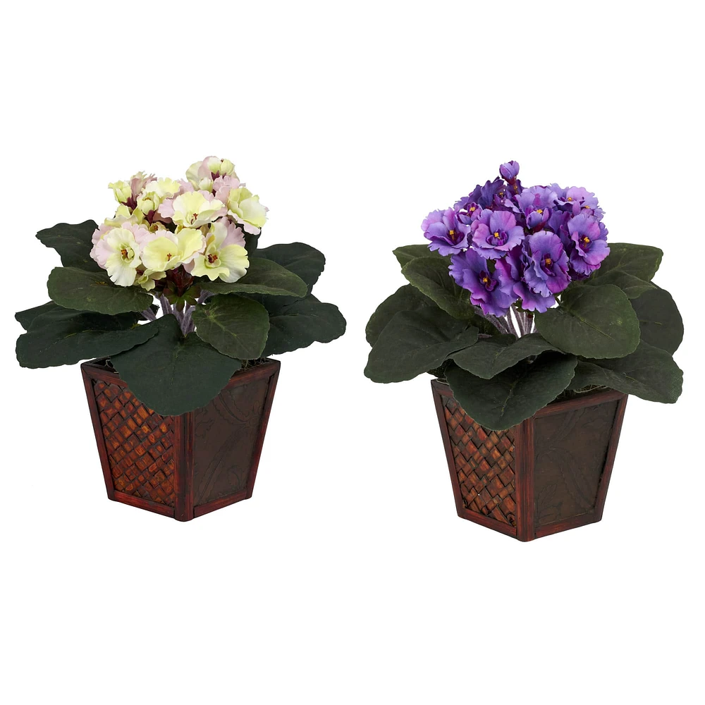 10" African Violet In Planter Set