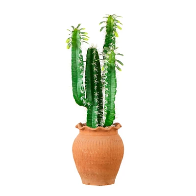 2ft. Cactus in Terracotta Planter